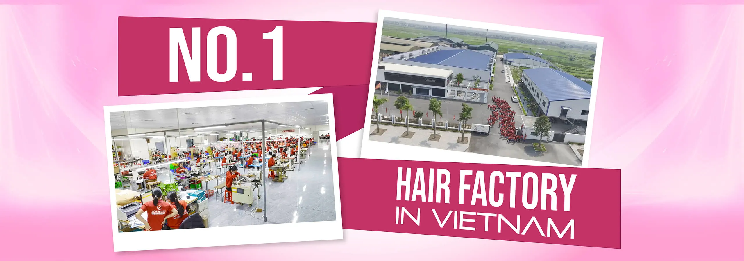 Apo Hair No.1 Best Vietnamese Hair extension Factory