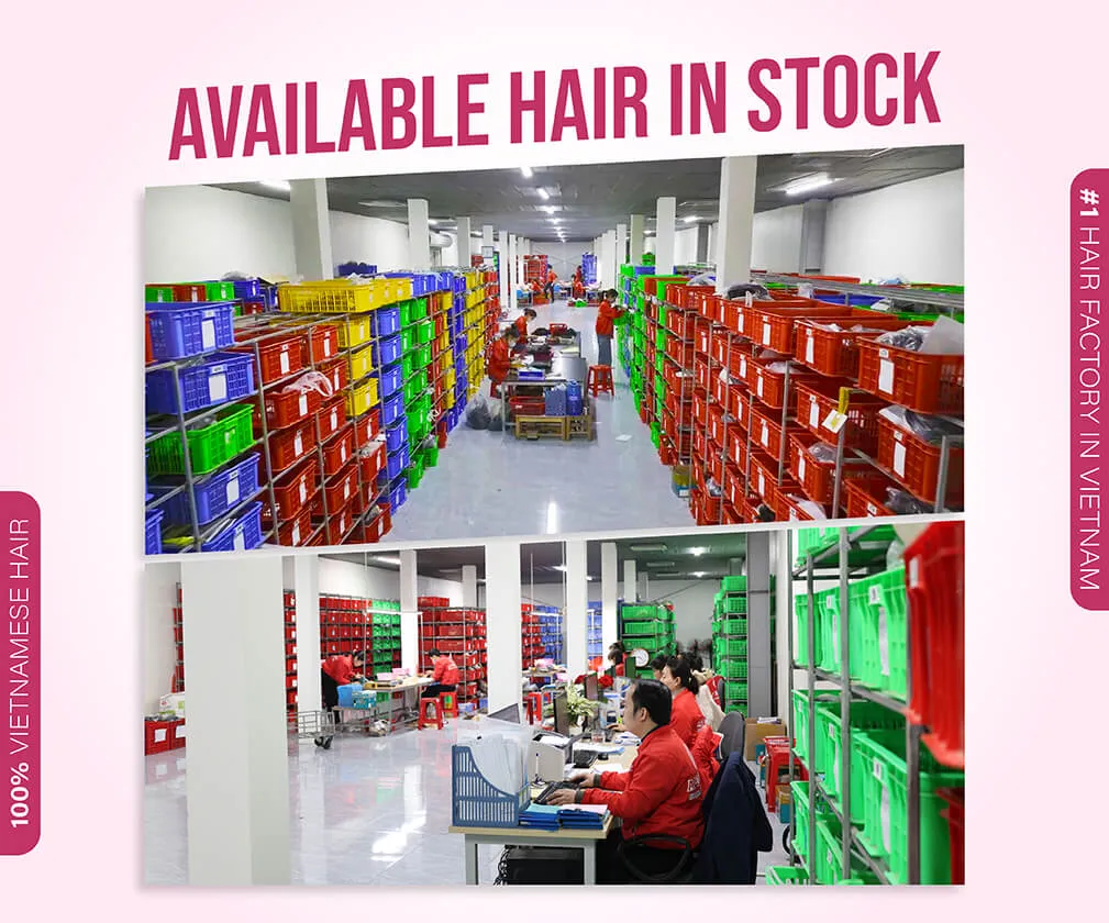 Apo Hair TOP 1 Vietnamese Hair Factory storage mobile version